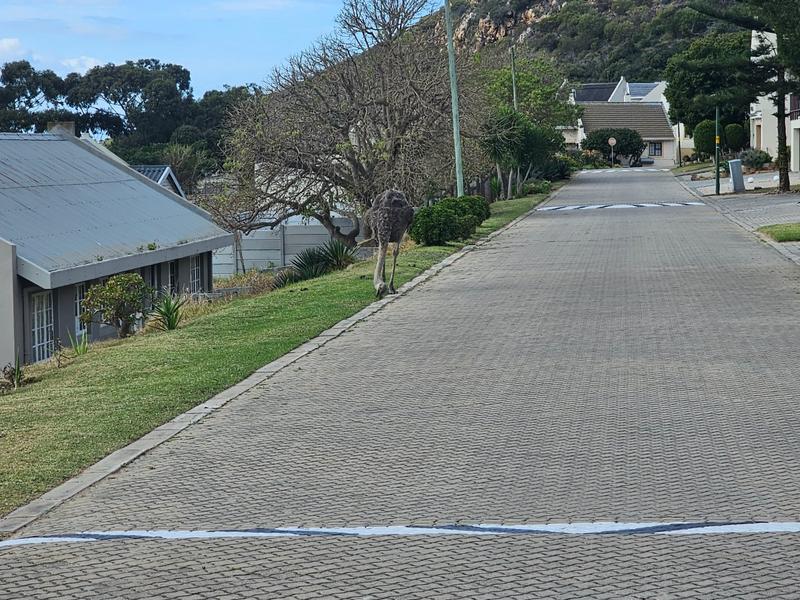 0 Bedroom Property for Sale in Vakansieplaas Western Cape